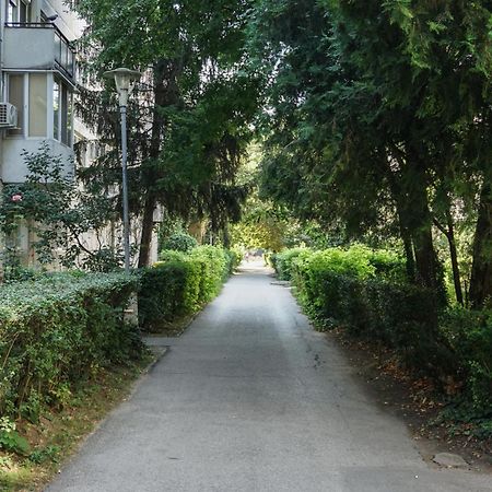 7 Min From City Center - Stecop Residence 3 -Central-Unique-Qb 蒂米什瓦拉 外观 照片