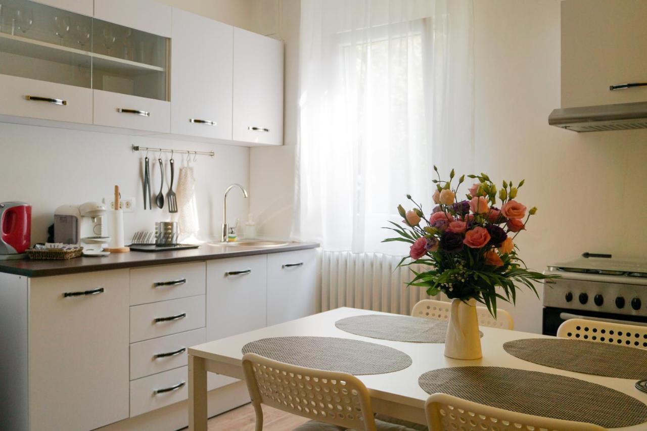 7 Min From City Center - Stecop Residence 3 -Central-Unique-Qb 蒂米什瓦拉 外观 照片
